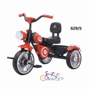 6295 China Tricycle